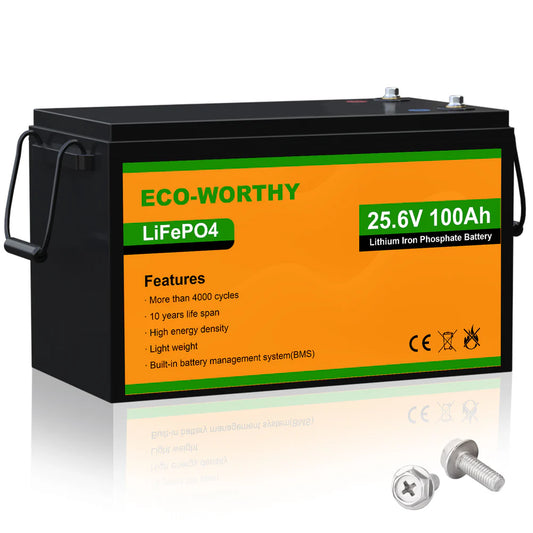 24v 100Ah LiFePo4 Battery Low-temp