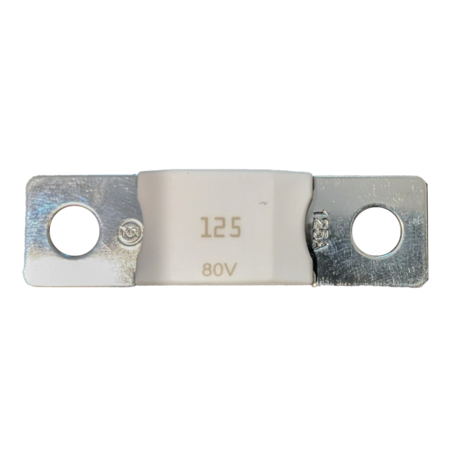 MEGA-fuse 100A/80V (package of 5 pcs)